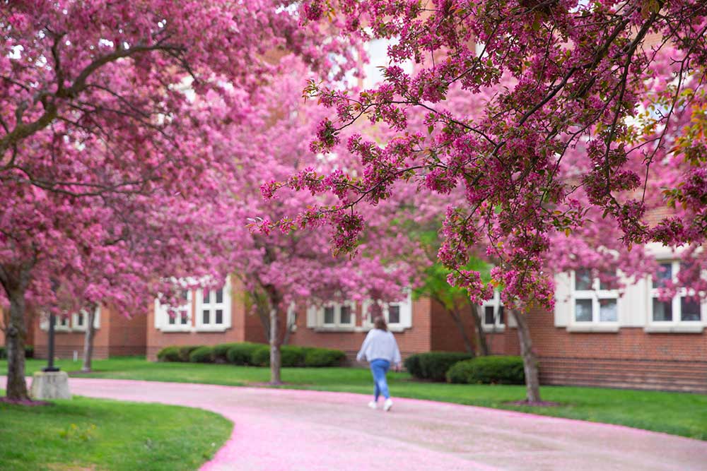 campus during spring