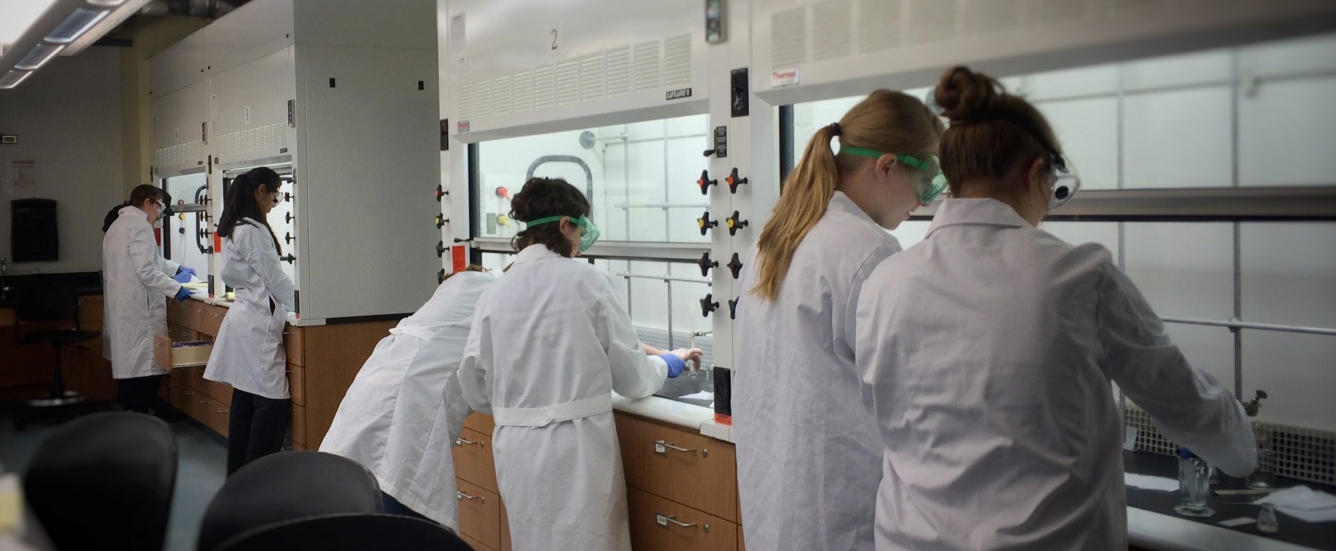 Students in an organic lab