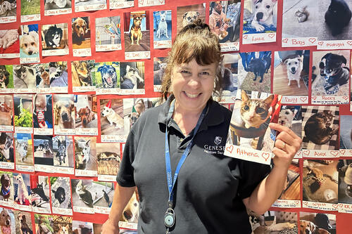 Ava Pascalar holds a photo of a cat, Athena, in front of the pet wall in the residence hall.
