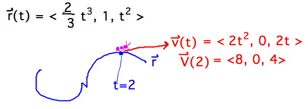 Ant direction is parallel to velocity = (2t^2,0,2t) = (8,0,4) when t=2