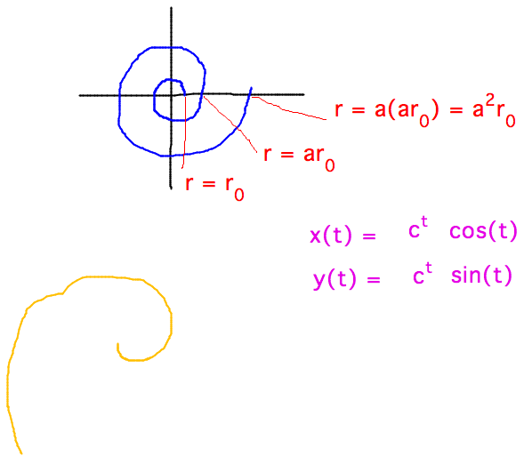 Logarithmic spiral has radius = c^t