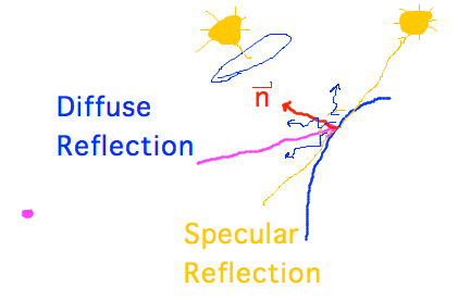 Light reflects diffusely and specularly