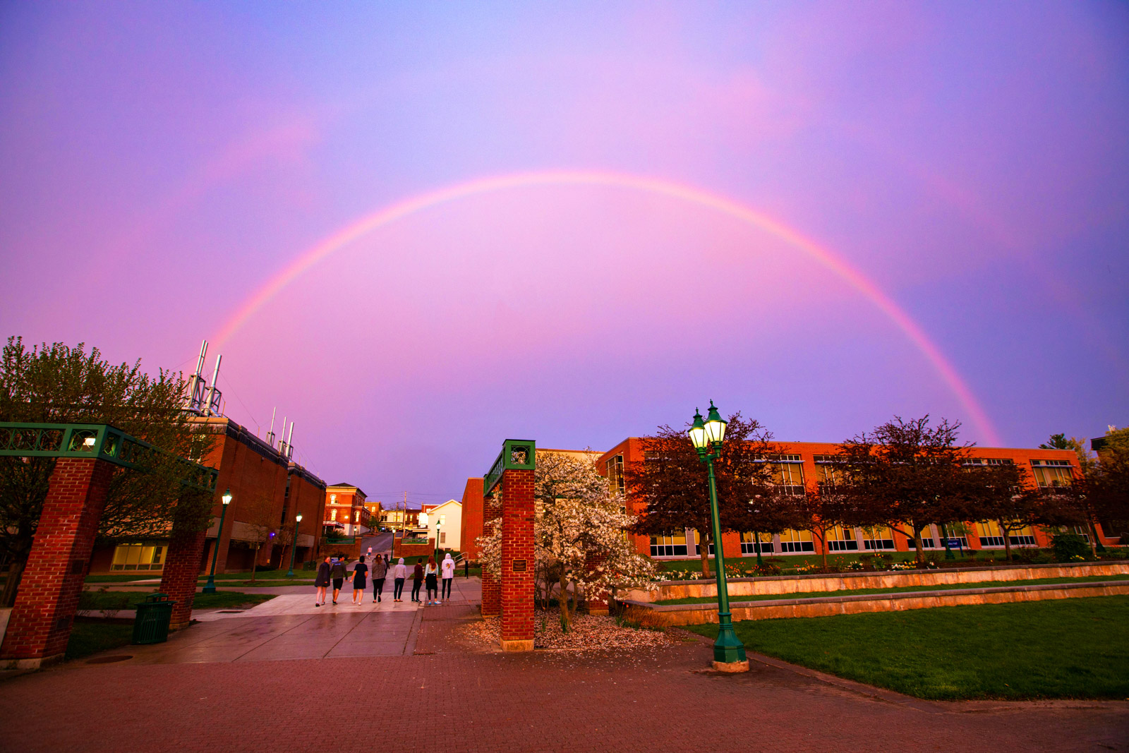 rainbow on campus