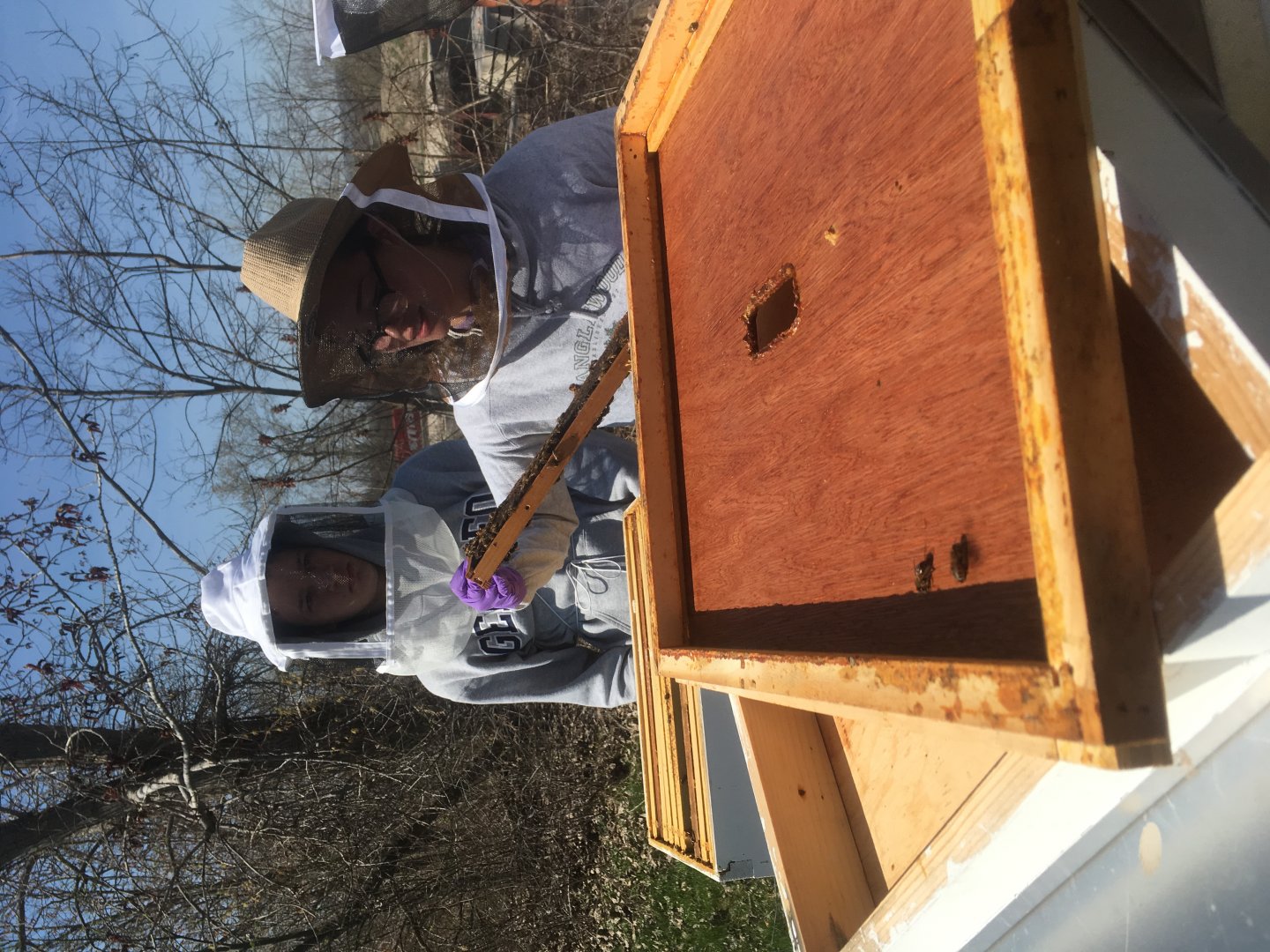 Two beekeepers inspecting a hive frame