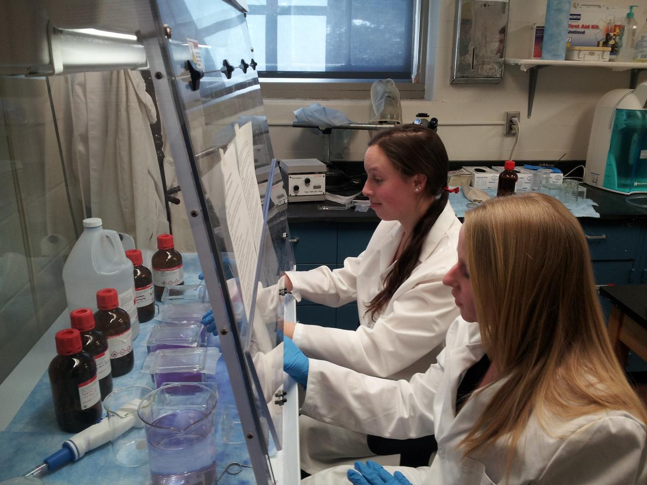 Two female students working on research
