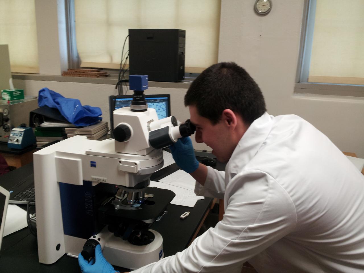 Male student conducting research with microscope