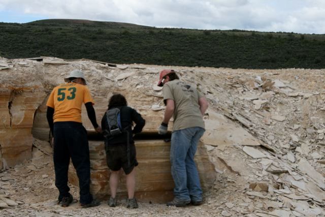 digging fossils