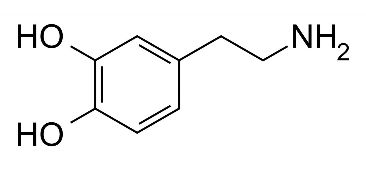 dopamine