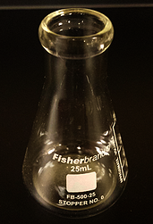 A 25 ml Erlenmeyer Flask