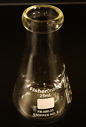 25 mL erlenmeyer