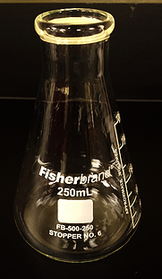 250 mL erlenmeyer