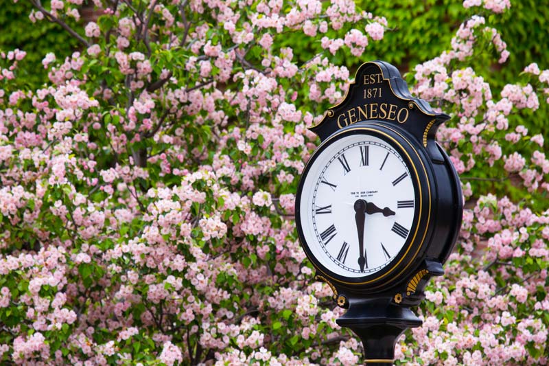Geneseo clock spring flowers