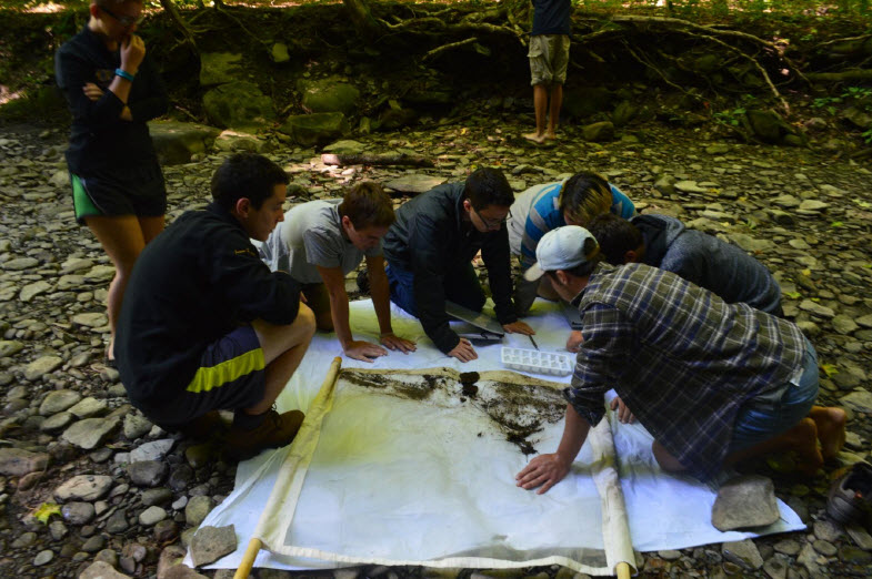 students sifting through dirt