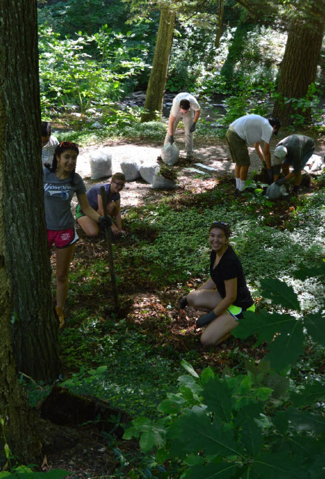 students picking up litter