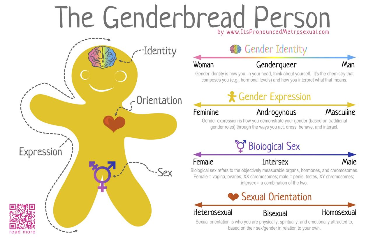 A genderbread person