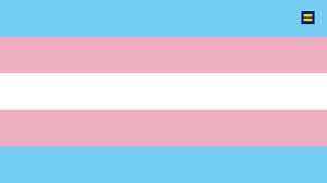 An image of the transgender flag from the Human Rights Campaign website.