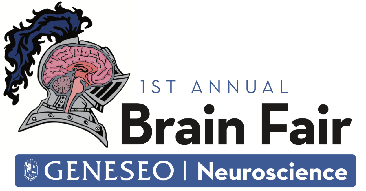 Geneseo Brain Fair logo