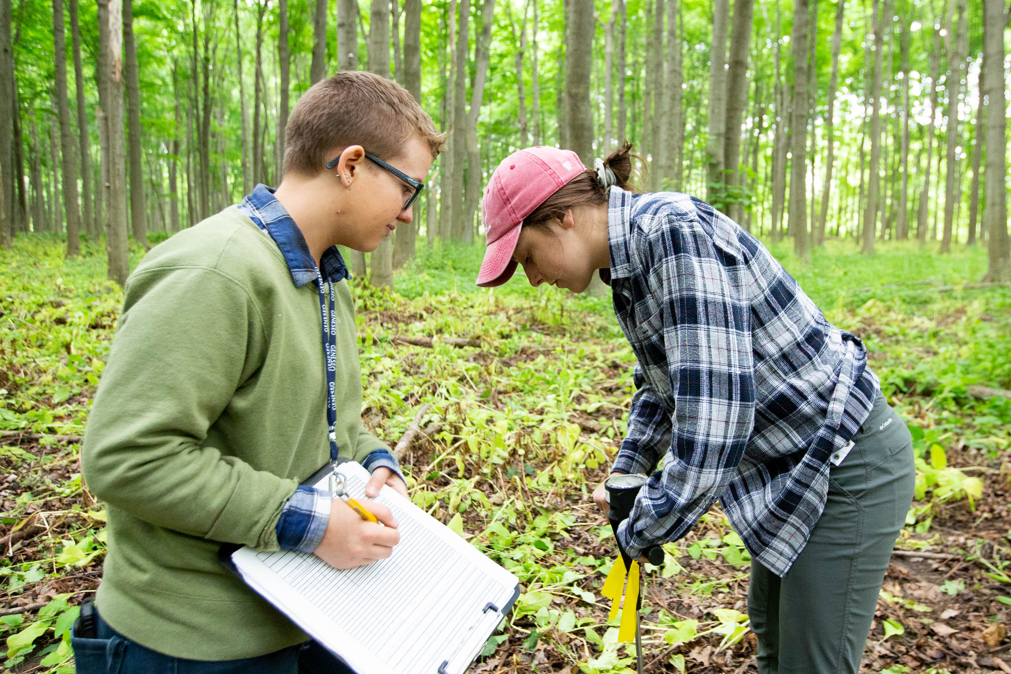 Students conducting field research