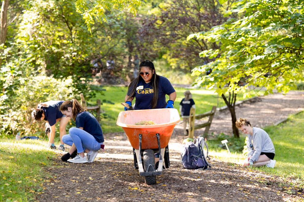 A geneseo student pushing a wheelbarrow during a spring service event in the Abroretum. 