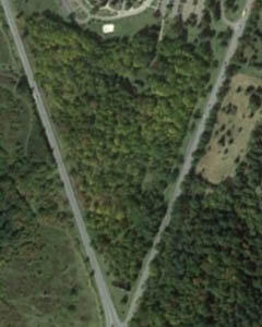 Color aerial photograph showing reforested arboretum