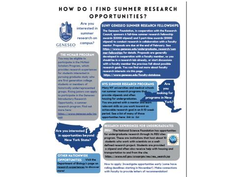 Undergraduate Summer Research Flyer