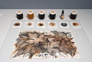 Fall leaves creative work made with dyes and ink made from native trees. (SUNY Geneseo/Matt Burkhartt)