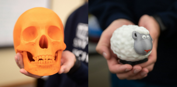 image of 3d printed orange skull and white and grey sheep