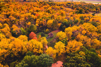 Roemer Arboretum 