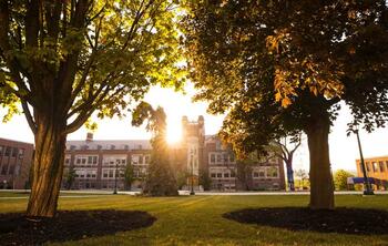 Sun shining on the Sturges Quad