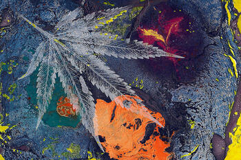 Abstract art of marijuana leaf