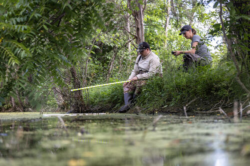 Biology research conducted at local wetland