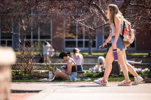 students walking and studying outside on campus