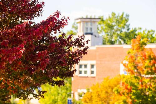 autumn on campus
