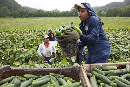 bread for the world photo of migrant workers