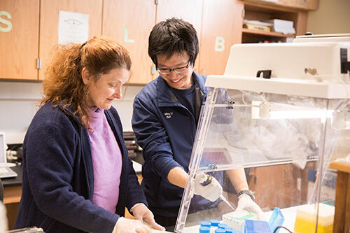 Mingxin Li and Associate Professor of Biology Jani Lews