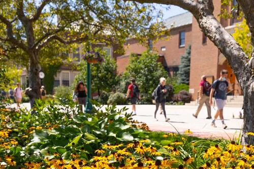 students walking on campus, framed by flowers, trees, and buildings