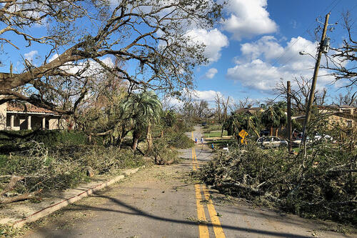 Damage caused by Hurricane Michael