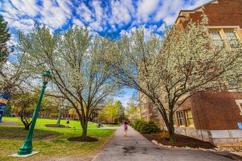 Sturges Quad 