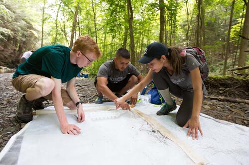 Students conducting field research