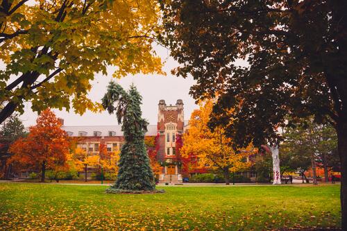 Sturges Quad