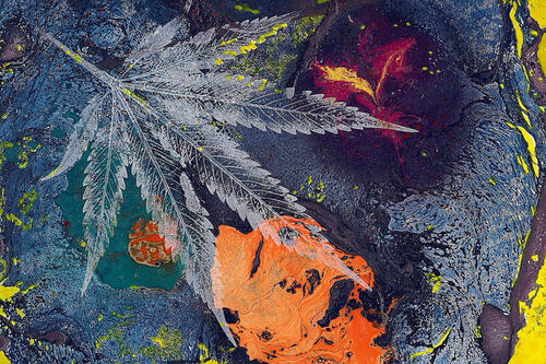 Abstract art of marijuana leaf