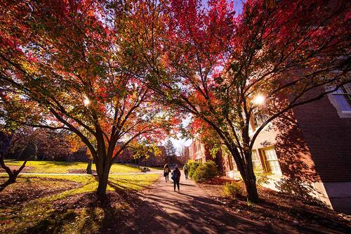 Students walking on campus