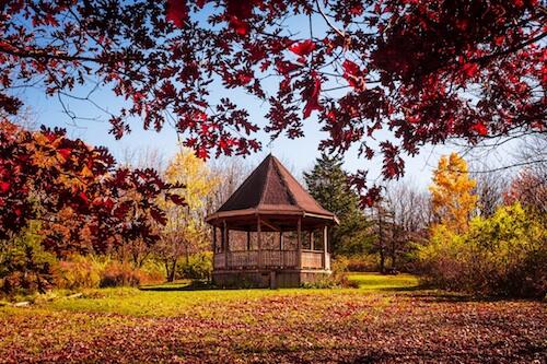 The gazebo in the Roemer Arboretum