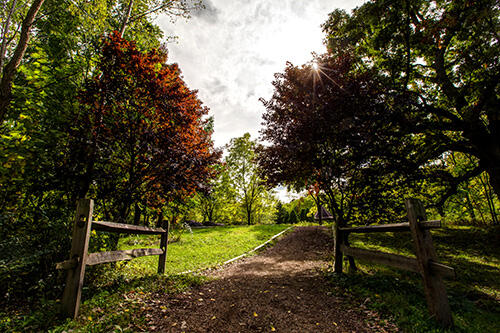 Roemer Arboretum entrance with trees