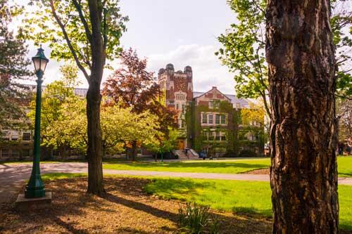 sturges Quad