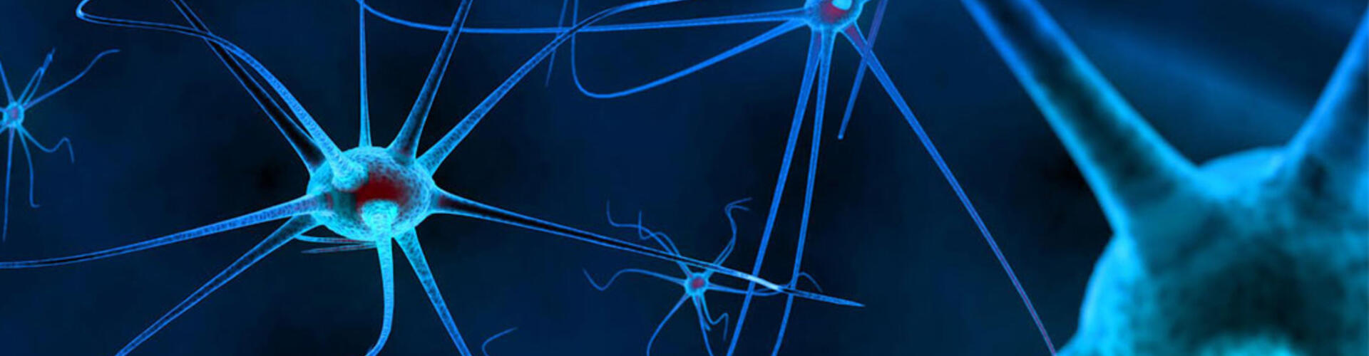 Artistic representation of neurons.