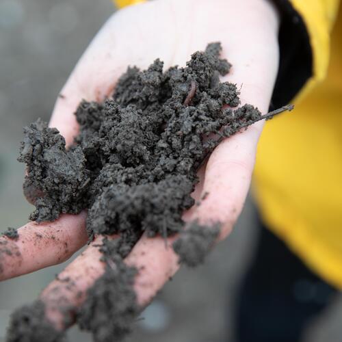 A student holds composted soil
