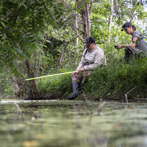 Biology research conducted at local wetland