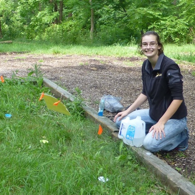 Meghan Barrett setting up bee bowls