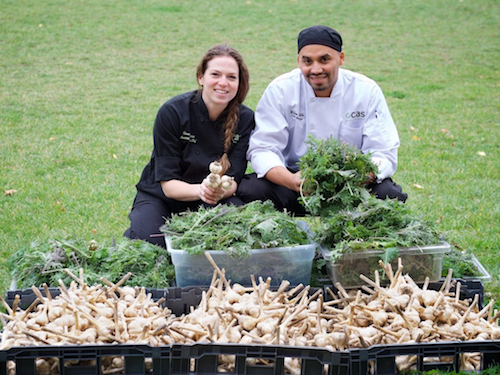 Chefs from Campus Auxiliary Services show garlic that was grown in the e-Garden